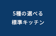 5種の選べる標準キッチン
